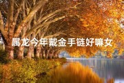 属龙今年戴金手链好嘛女生,属龙今年戴金手链好嘛女生图片