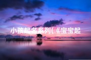 小孩起名系列(《宝宝起名宝典：创意无限，童趣盎然》)
