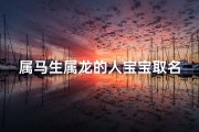 属马生属龙的人宝宝取名