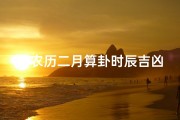 《农历二月算卦时辰吉凶详览表》