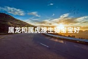 属龙和属虎接生猫宝宝好不;属龙和属虎生什么宝宝