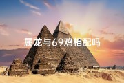 属龙与69鸡相配吗