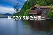 属龙2019颜色数字—属龙2019：数字色彩解码，揭秘运势密码