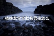 植姓龙宝宝取名男孩怎么取_植姓龙宝宝，寓意吉祥，男孩名字大揭秘