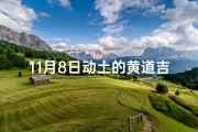 11月8日动土的黄道吉日(11月8日黄历黄道吉日)