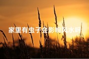 家里有虫子会影响风水吗