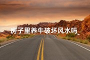 房子里养牛破坏风水吗_养牛的房子要怎么盖图片