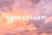 狗宝宝取名字大全恩字(名字大全属狗宝宝)