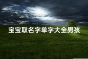 宝宝取名字单字大全男孩(鼠年男孩最新的名字单字精选)