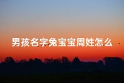 男孩名字兔宝宝周姓怎么取,《周姓男孩取名：兔宝宝，寓意吉祥可爱》