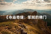 《寺庙奇缘：笨贼的佛门奇遇记》