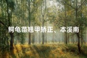 鳄龟苗翘甲矫正、本溪南芬寺庙求签：神秘占卜之旅