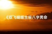 《双飞蝴蝶生辰八字男命，命运轨迹揭秘》