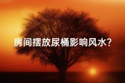 房间摆放尿桶影响风水？揭秘家居风水禁忌