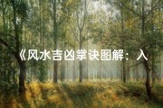 《风水吉凶掌诀图解：入门必备教程视频》