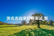 测名吉凶字打分测试_测名吉凶一网打尽，姓名评分大揭秘