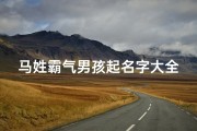 马姓霸气男孩起名字大全(马姓男孩阳刚霸气名字)