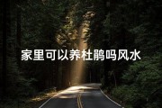家里可以养杜鹃吗风水