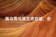 属马男与属龙男结婚，合适吗？