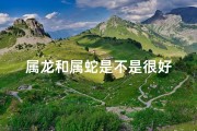 属龙和属蛇是不是很好