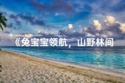 《兔宝宝领航，山野林间成长记》