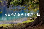 《富裕之命八字奥秘：精准教学指南》