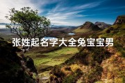 张姓起名字大全兔宝宝男;张姓起名字大全兔宝宝男孩