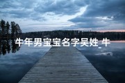 牛年男宝宝名字吴姓_牛年男宝宝名字吴姓起名