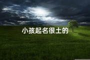 小孩起名很土的