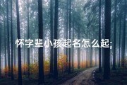 怀字辈小孩起名怎么起;《怀字辈宝宝起名：传承经典，创意无限》