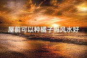 屋前可以种橘子吗风水好吗_屋前种橘子风水解析：适宜种植吗？