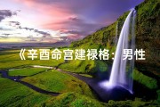 《辛酉命宫建禄格：男性命运解析之道》