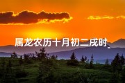 属龙农历十月初二戌时_属龙十月初二戌时：龙腾盛世，喜庆团圆夜