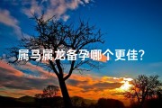 属马属龙备孕哪个更佳？生育吉时大揭秘