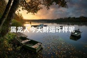 属龙人今天财运咋样呢_属龙人今日财运揭秘：运势如何？