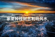 家里种桂树吉利吗风水,家里种桂花树有什么寓意