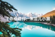 《命格婚约：宋芸儿小黑情缘终章》