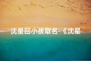 沈星回小孩取名-《沈星回小孩：童真世界里的成长故事》