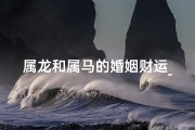 属龙和属马的婚姻财运_属龙属马婚姻财运：双喜临门，财源滚滚