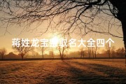蒋姓龙宝宝取名大全四个字女孩—蒋氏龙宝宝取名大全：吉祥如意四字佳名推荐