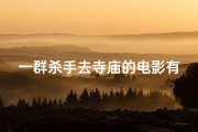 一群杀手去寺庙的电影有哪些;《寺庙杀手风云录》