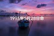 1995年5月28日命格、1995年5月28日命格：命运转折的神奇时刻