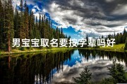 男宝宝取名要按字辈吗好吗(《男宝宝取名：遵循字辈传统，传承家族文化》)