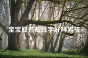 宝宝取名戴姓字好吗男孩