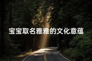 宝宝取名雅雅的文化意蕴与搭配艺术