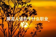 属龙人适合干什么职业_属龙能否在保险行业大展宏图？