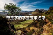带王字的字宝宝取名字_《王字宝宝取名：传承经典，寓意美好》