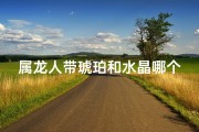 属龙人带琥珀和水晶哪个好_属龙佩戴琥珀还是水晶更宜？