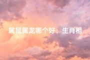 属鼠属龙哪个好：生肖相冲的智慧选择