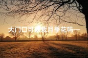 大门口可以栽月季花吗—门口种月季风水宜人吗？家居风水解析